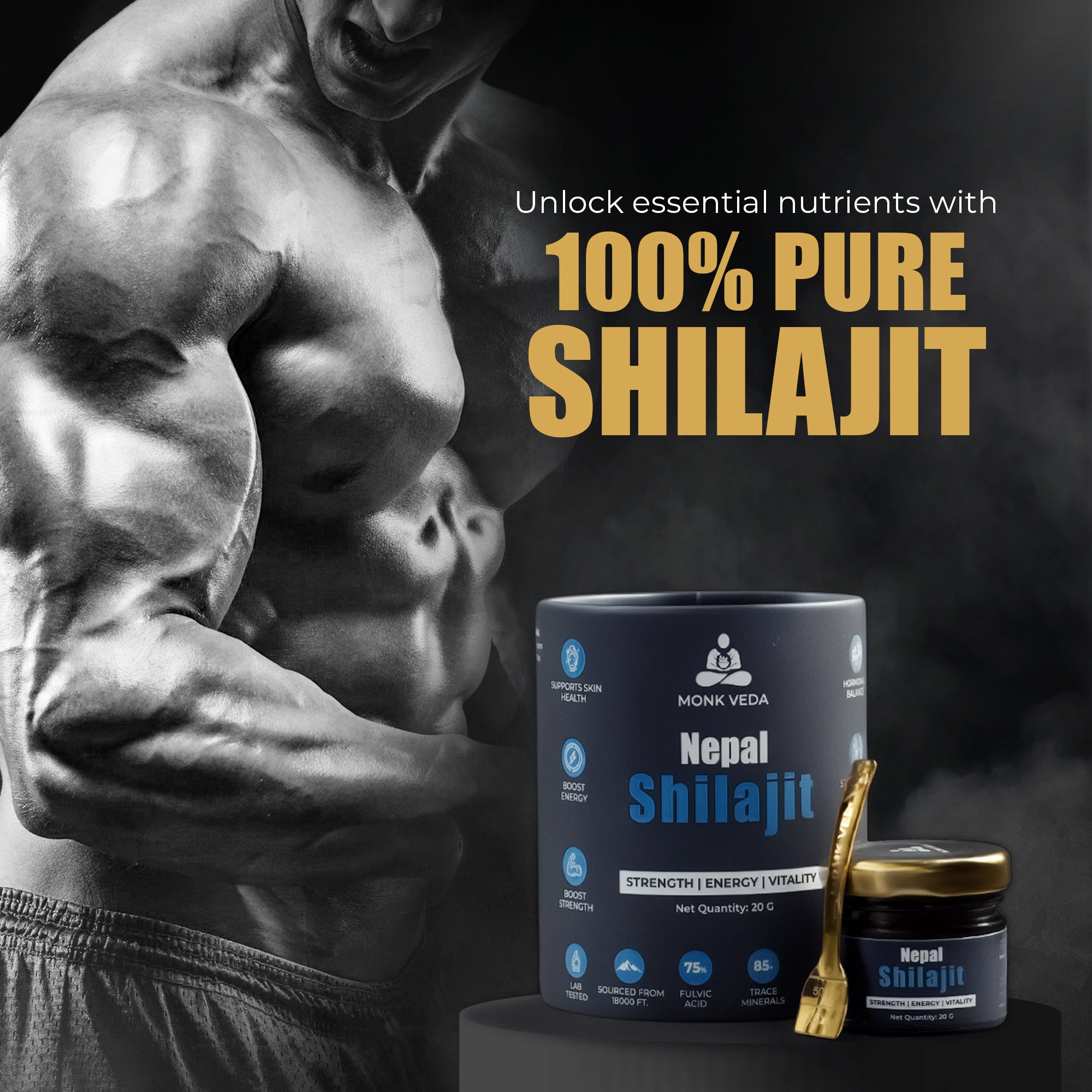 Shilajit - Monk Veda