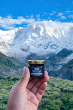 Shilajit - Monk Veda